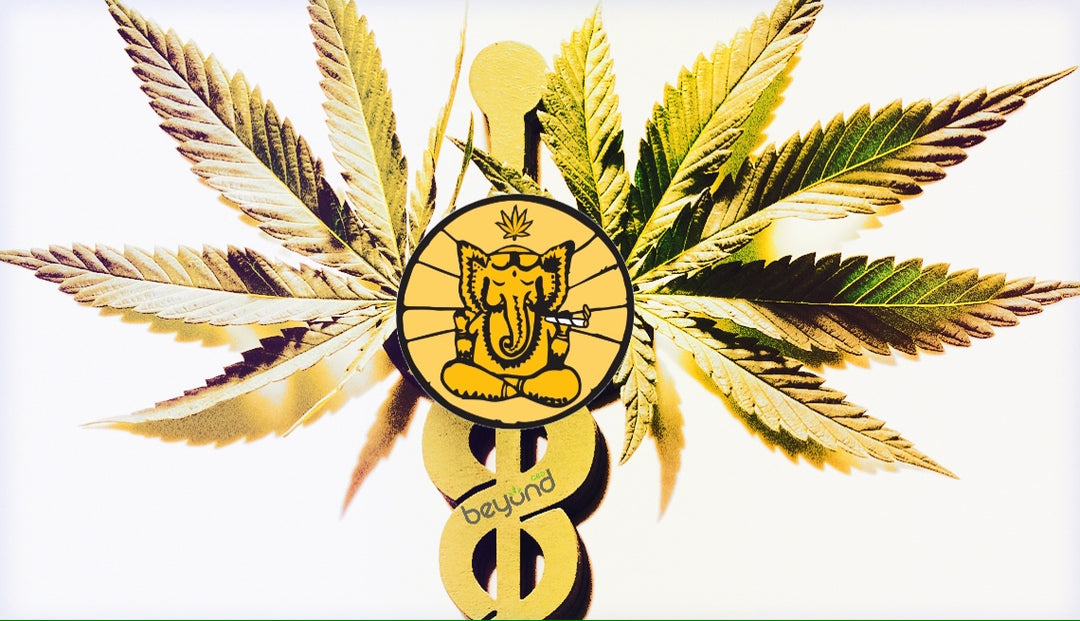 An elephant never forgets to take their CBD