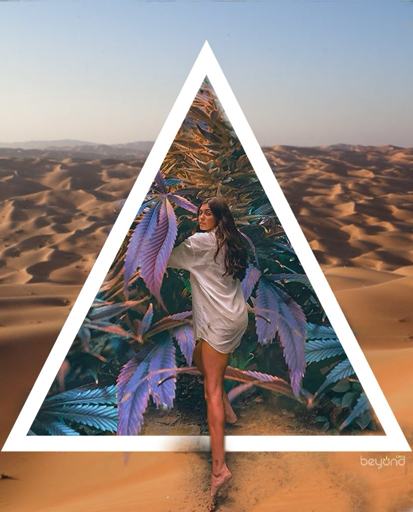 Top 3 Olfactory Memory