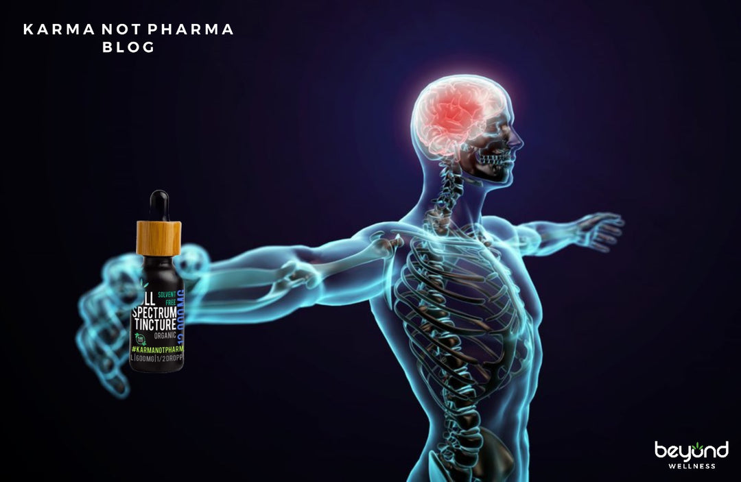 CBD and TBI: Neuroprotectant knight in shining Phyto cannabinoid armor