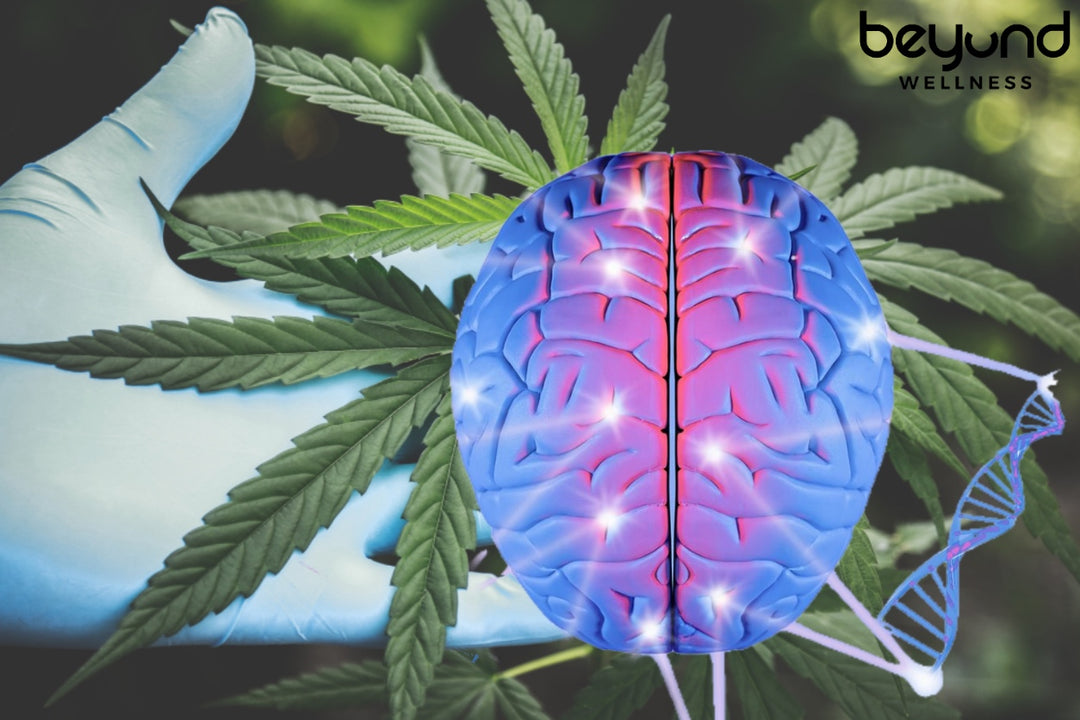 CBD 3x more effective for seizures than pharmaceuticals