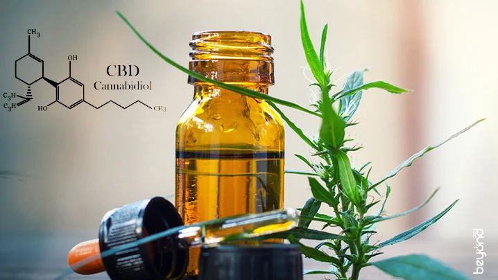 Solvent Free CO2 Extraction- The Clean Green