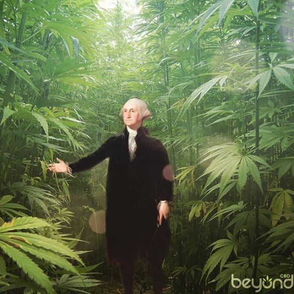 Humble Hemp & Malicious Intent