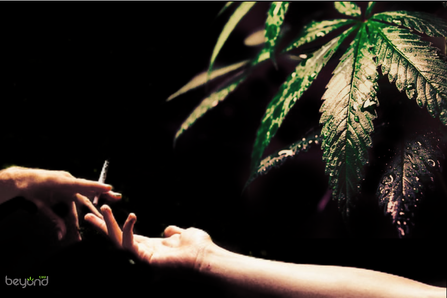 A New Way for Chronic RA