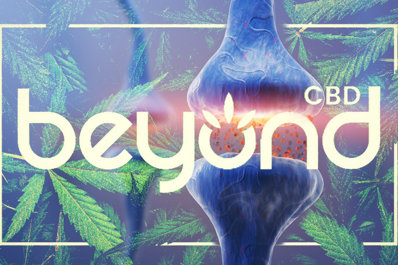 CBD's Effect on Neurotransmitters