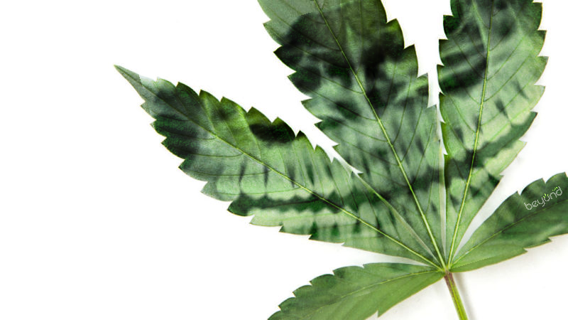 CBD- Better than Oral B