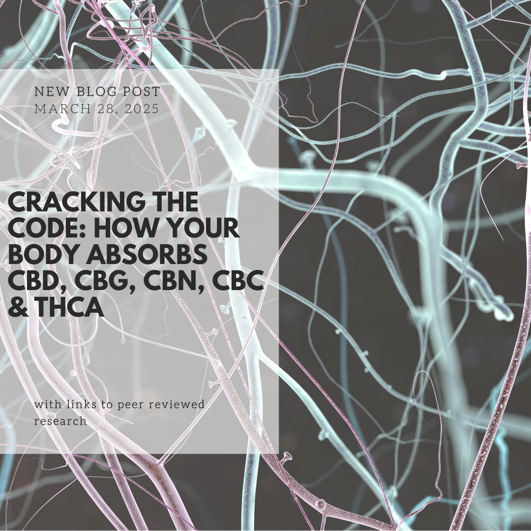 Cracking the Code: How Your Body Absorbs CBD, CBG, CBN, CBC & THCA