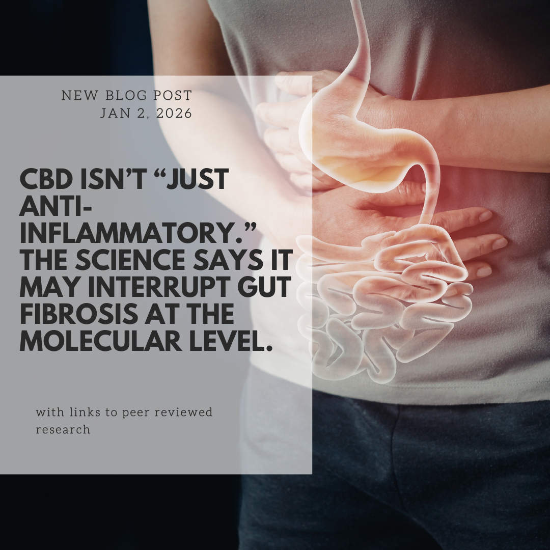 CBD Isn’t “Just Anti-Inflammatory.” Peer-Reviewed Science Shows It May Interrupt Gut Fibrosis at the Molecular Level